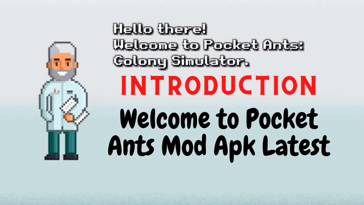 Pocket Ants introduction