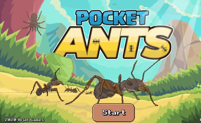 Pocket Ants 2